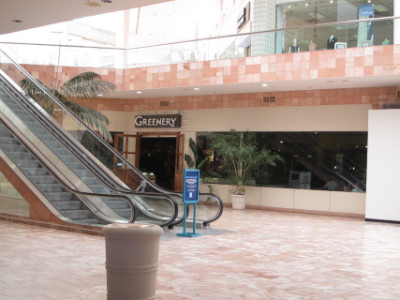 Greenery in Sunland Park Mall